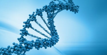 Investigadores identificam mecanismo que mantém viva célula de cancro