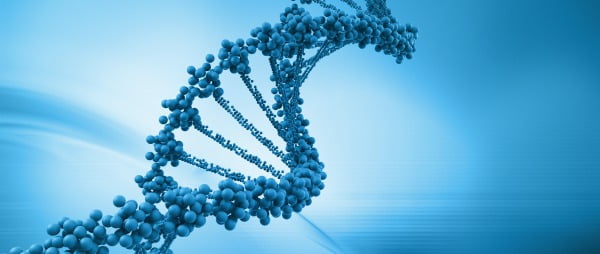 Investigadores identificam mecanismo que mantém viva célula de cancro