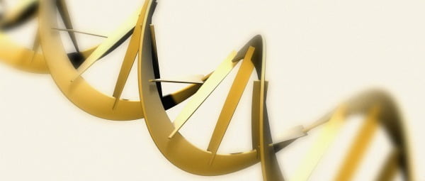 Maior base de dados de ADN humano disponível para consulta
