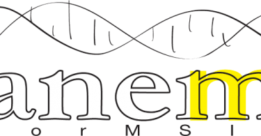 Duarte Sequeira à frente da ANEM