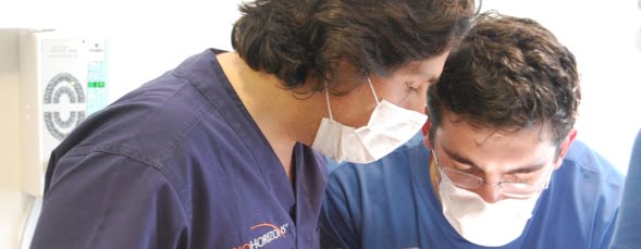 BELearning dinamiza cursos práticos de Implantologia e Prótese
