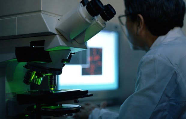 Roche vai investir 20 milhões em Portugal