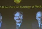 Nobel da Medicina de 2013 atribuído a sistema de transporte essencial nas células