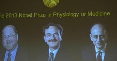 Nobel da Medicina de 2013 atribuído a sistema de transporte essencial nas células