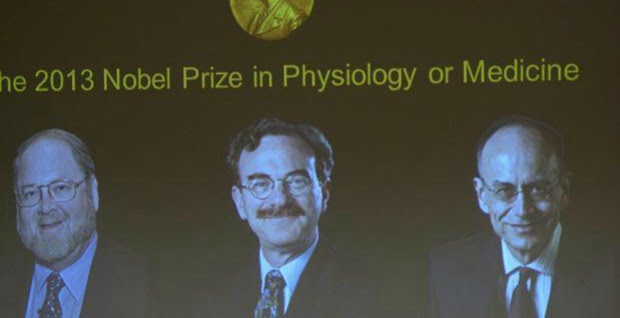 Nobel da Medicina de 2013 atribuído a sistema de transporte essencial nas células