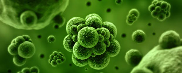 Bactérias resistentes abrem a possibilidade a uma era pós-antibióticos