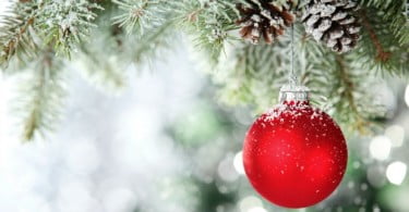 Tem por hábito celebrar o Natal com clientes e equipa clínica?