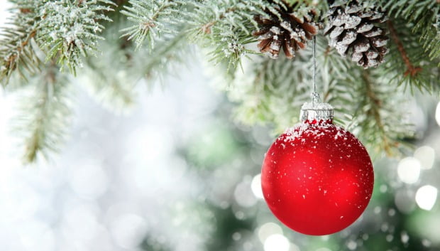 Tem por hábito celebrar o Natal com clientes e equipa clínica?