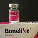 Bonelike: Substituto ósseo sintético entra este mês no mercado