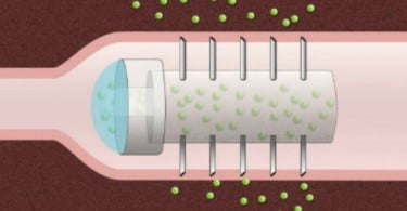 Nova cápsula pode substituir injeções