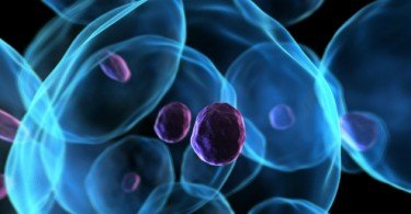 Estudo internacional revela propagação de células cancerígenas