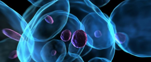 Estudo internacional revela propagação de células cancerígenas