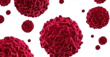 Molécula patenteada em Portugal elimina células cancerígenas