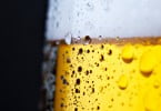 Lúpulo usado na produção de cerveja pode ser benéfico para saúde oral