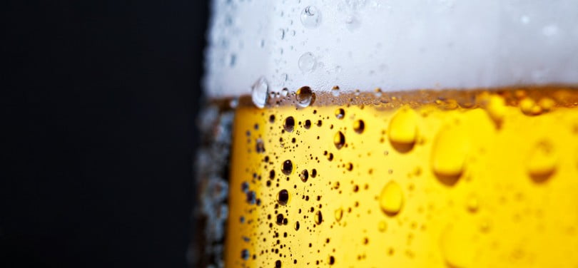 Lúpulo usado na produção de cerveja pode ser benéfico para saúde oral