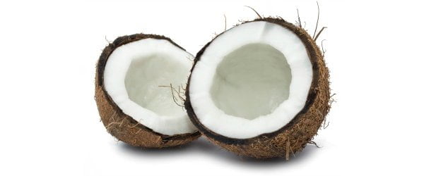 Óleo de coco modificado reduz cáries e elimina bactérias