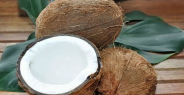 Óleo de coco pode reduzir a gengivite