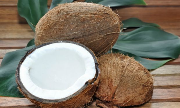 Óleo de coco pode reduzir a gengivite