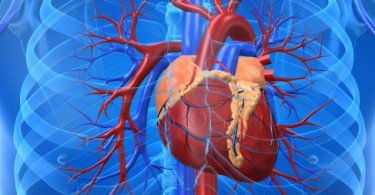 Hospital de Santa Cruz realiza implante inédito