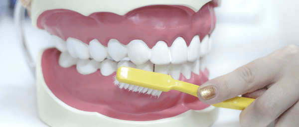 Óbidos promove campanha de saúde oral durante mês junho