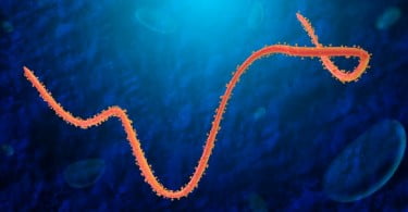 Conselho de Sanidade da Comunidade de Madrid publica informação sobre Ébola