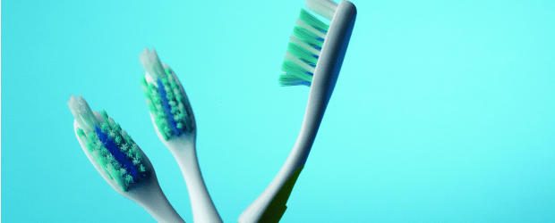 Projeto português EcoEscovinha em Concurso Europeu