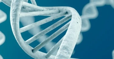 Variação genética explica diferente resistência às doenças