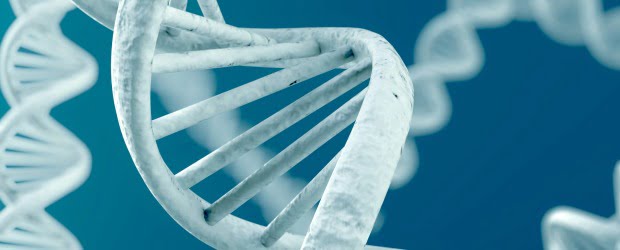 Variação genética explica diferente resistência às doenças