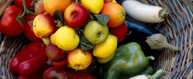 Seminário analisa relação entre alimentação e doenças degenerativas