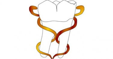 20.ª edição das Jornadas Internacionais de Medicina Dentária