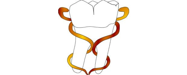 20.ª edição das Jornadas Internacionais de Medicina Dentária