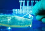 ESCMID divulga orientações sobre infeções por biofilmes