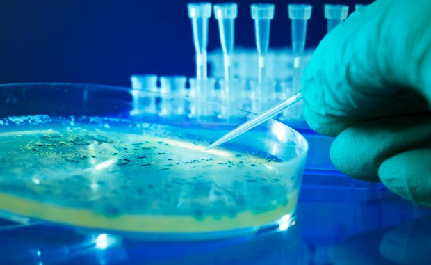 ESCMID divulga orientações sobre infeções por biofilmes