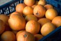 Sumo de laranja mais erosivo que branqueamento dentário