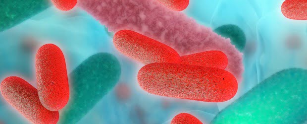 O que precisa saber sobre o surto de Legionella