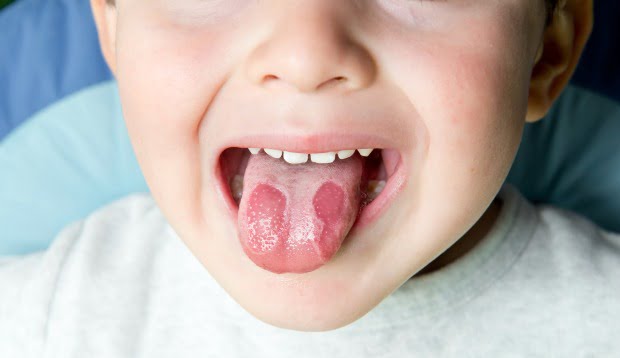 Cientistas descobrem novos dados sobre língua geográfica