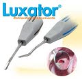 Instrumento de extracção Luxator evita danificação óssea