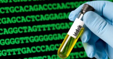 Cientista português cria mini-fígados em laboratório