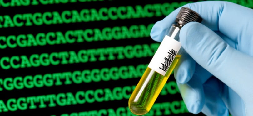 Cientista português cria mini-fígados em laboratório