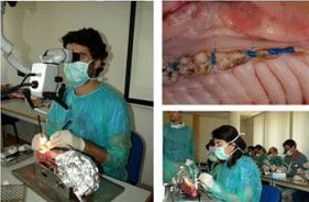 Curso de Suturas e Micro Cirurgia a 30 de Outubro