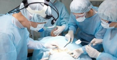 Hospitais privados obrigados a doar órgãos para transplantes
