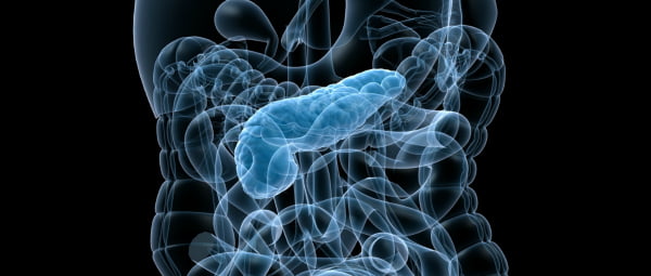 Descoberto novo gene no cancro do pâncreas