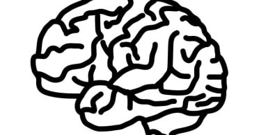 cerebro ilustração