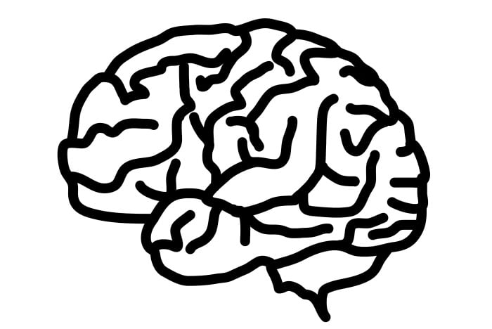 cerebro ilustração