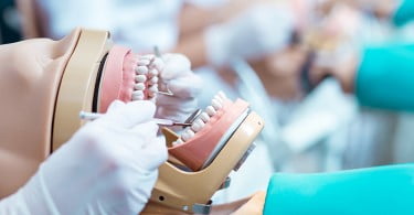 estudante de medicina dentária Saúde Oral