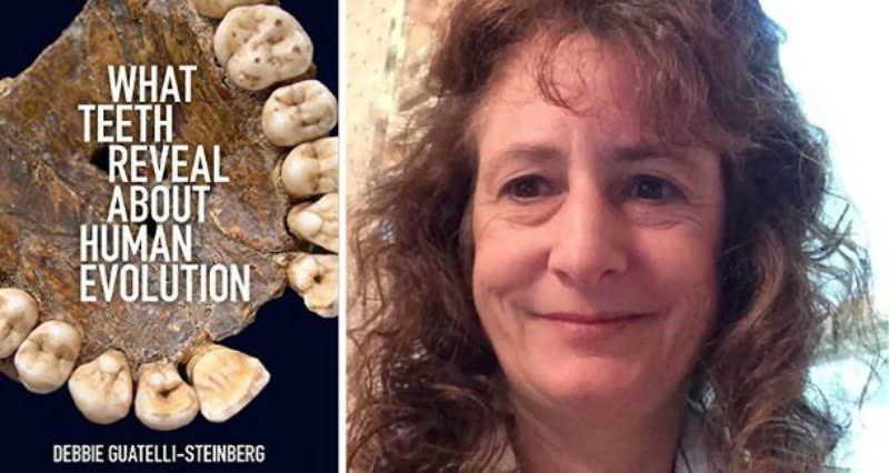 debbie steinberg Saúde Oral