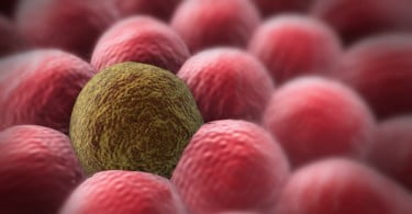 Investigadores descobrem que células humanas podem destruir células cancerígenas