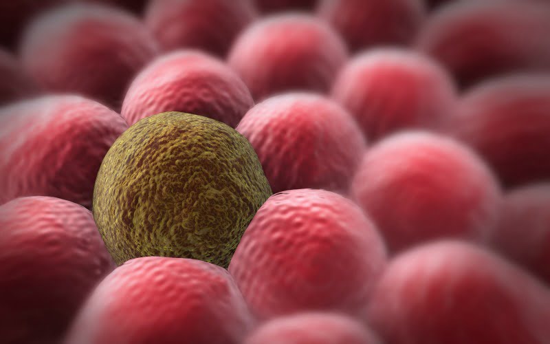 Investigadores descobrem que células humanas podem destruir células cancerígenas