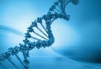 Investigadores identificam sequências de ADN responsáveis pela periodontite