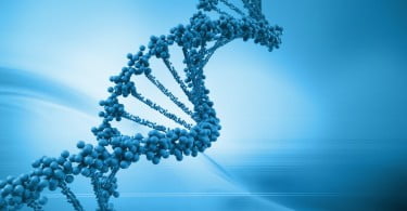 Investigadores identificam sequências de ADN responsáveis pela periodontite